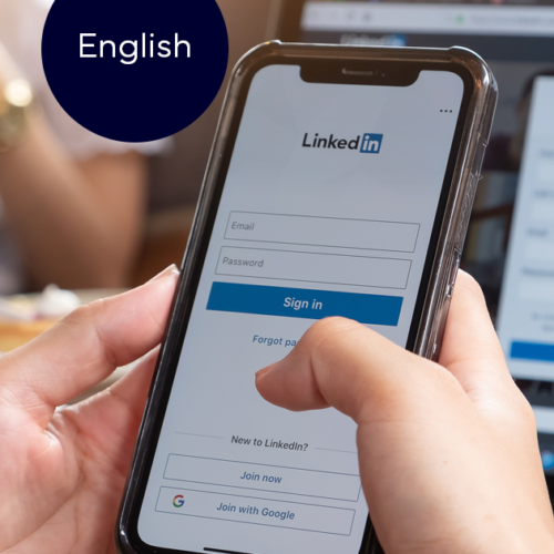 VisEx RCLE - CV and LinkedIn review in English