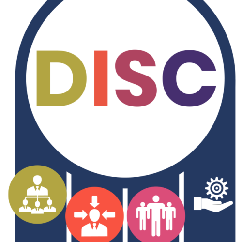 VisEx - Avaliação DISC | Dominância, Influência, Estabilidade e Conformidade