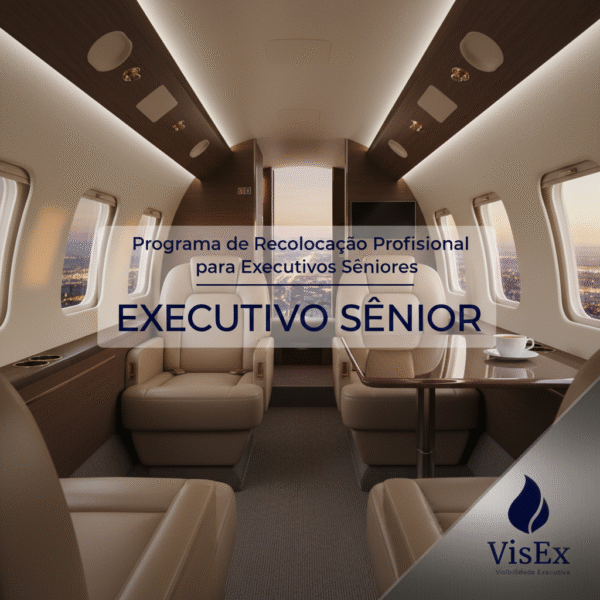 Programa de Recolocação Profissional Executivo Sênior ou Cargos Similares